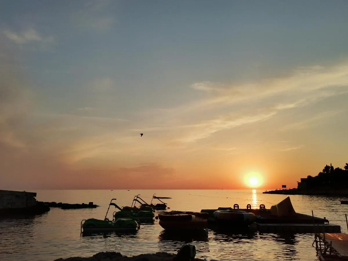 Cave With Free Parking Lejlighed Pula Kroatien