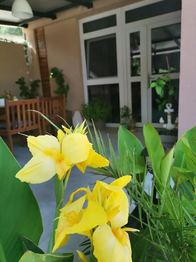 Apartment Ferienwohnung Cave With Free Parking Pula